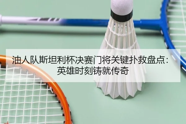 油人队斯坦利杯决赛门将关键扑救盘点：英雄时刻铸就传奇 | 6686.com