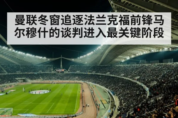 曼联冬窗追逐法兰克福前锋马尔穆什的谈判进入最关键阶段（6686.com）